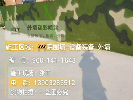 河东 迷彩漆喷涂价格（按平方米计费）